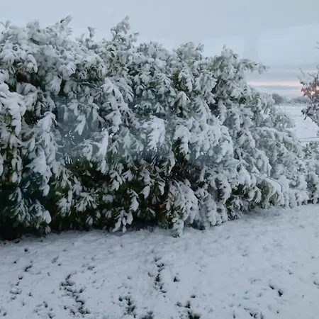 3 Williamstown, Ireland