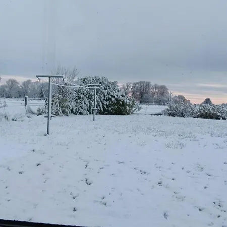 3 Williamstown, Ireland *